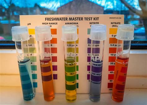 how to check the water quality in my area